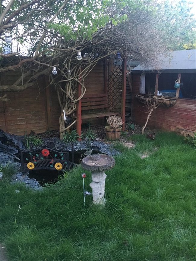 Rooms for rent Cambridge, Cambridgeshire Houses to rent Cambridge