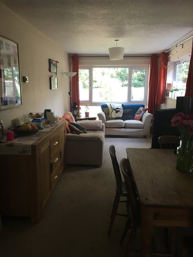 Houses For Rent Cambridge On at Jonathan Molina blog