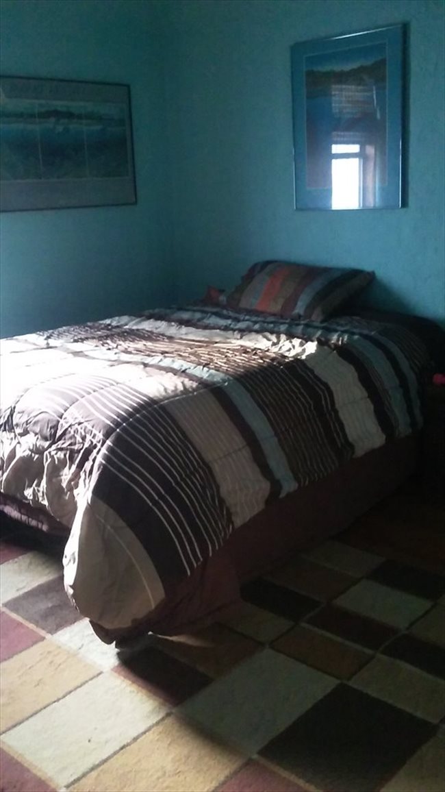 Room for friendly female Room for friendly female