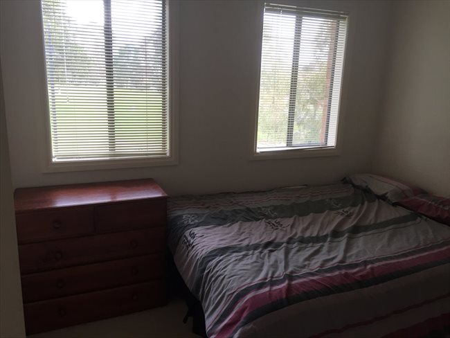 Flatshare - Lyndhurst - $200 includes gas water & electricity | EasyRoommate - Image 6