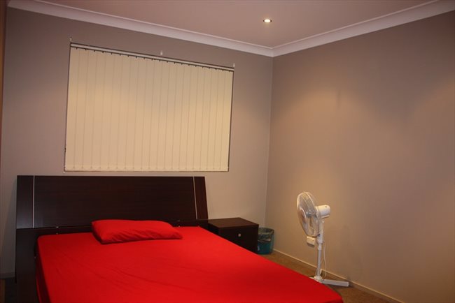 Flatshare - Sydney - Bankstown | EasyRoommate - Image 5