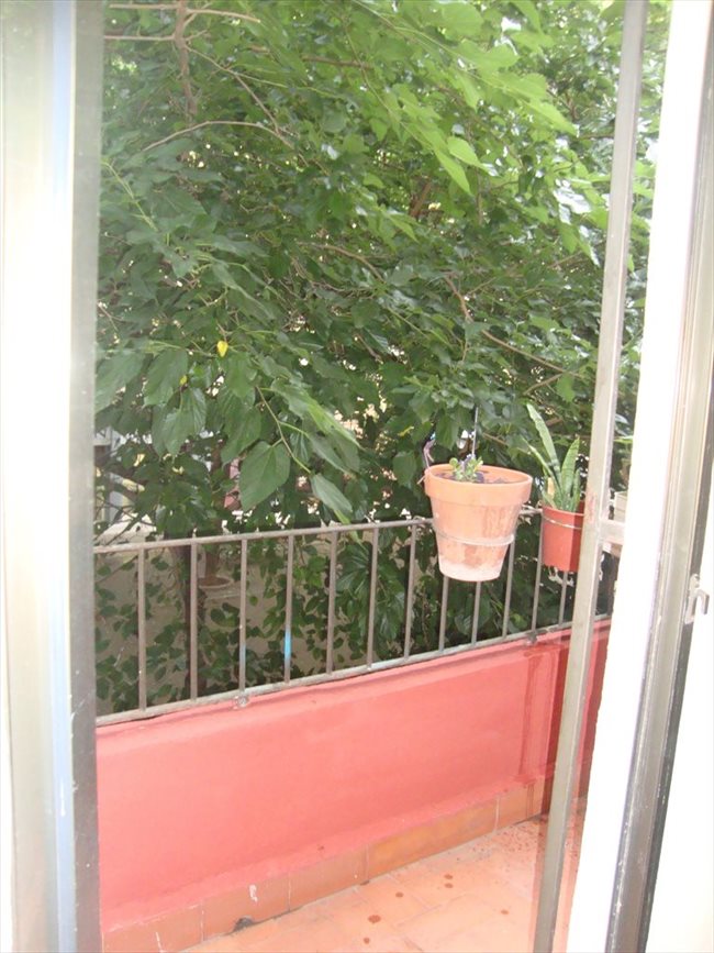 compartir piso estudiantes valencia piso compartido en valencia habitaciones room chambres compartir piso estudiantes valencia piso compartido en valencia habitaciones room chambres