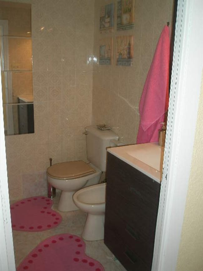 Habitacion zaragoza estudiantes