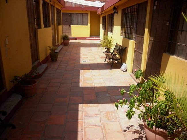 Cuartos en Renta - Puebla - Estancia exclusiva a estudiantes UPAEP, ISU o IEU. | CompartoDepa - Image 3