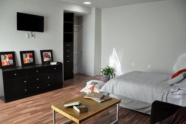Cuartos en Renta - Querétaro - Ahora reforma 110 cuartos con baño propio | CompartoDepa - Image 2