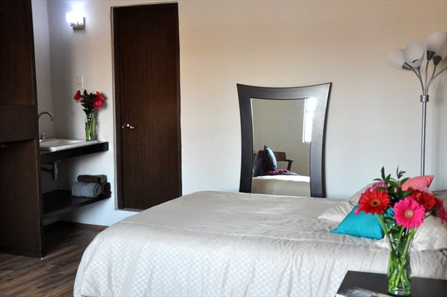 Cuartos en Renta - Querétaro - Ahora reforma 110 cuartos con baño propio | CompartoDepa - Image 5