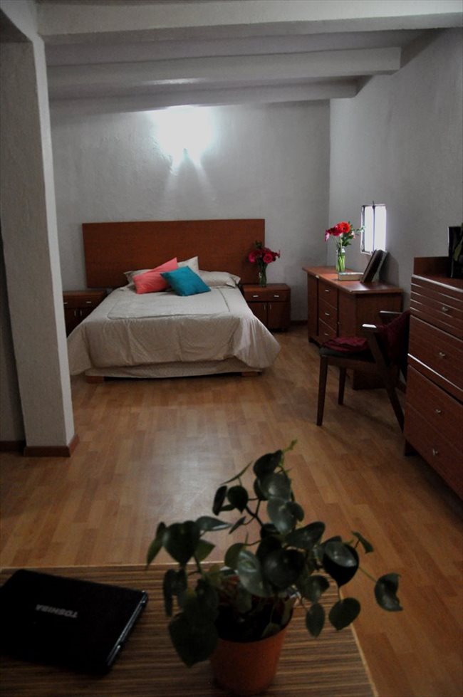 Cuartos en Renta - Querétaro - Ahora reforma 110 cuartos con baño propio | CompartoDepa - Image 6