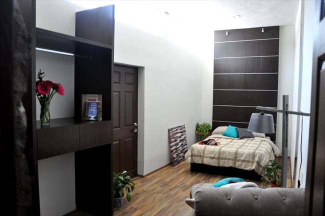 Cuartos en Renta - Querétaro - Ahora reforma 110 cuartos con baño propio | CompartoDepa - Image 8
