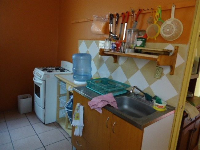 Cuartos en Renta - Oaxaca de Juárez - ROOMMATE FOR WOMEN/MEN PISO COMPARTIDO | CompartoDepa - Image 3
