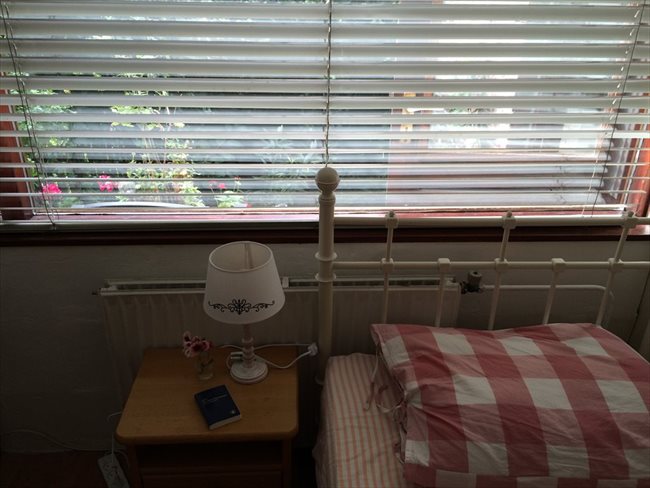 Kamers te huur - Rotterdam - Furnished rooms for rent | EasyKamer - Image 4