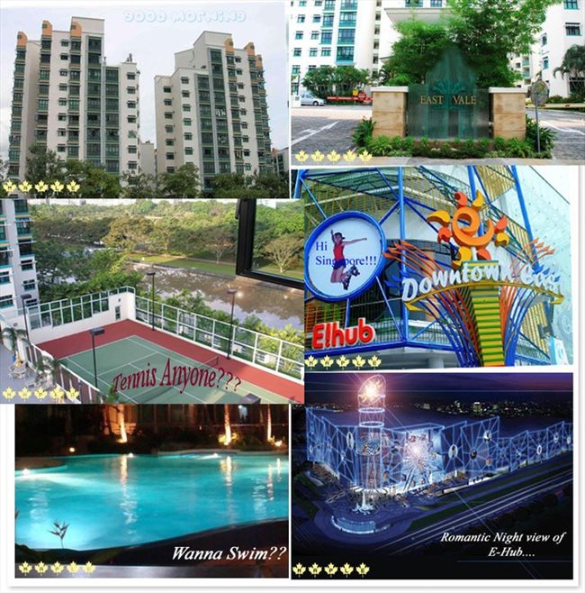 Roomshare - Singapore - Wanted: Owner looking for a honest, reliable and friendly tenant!! | EasyRoommate - Image 1
