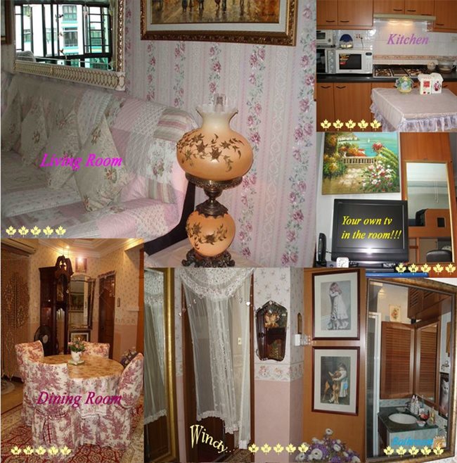 Roomshare - Singapore - Wanted: Owner looking for a honest, reliable and friendly tenant!! | EasyRoommate - Image 2