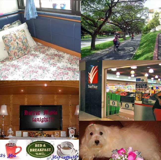 Roomshare - Singapore - Wanted: Owner looking for a honest, reliable and friendly tenant!! | EasyRoommate - Image 3