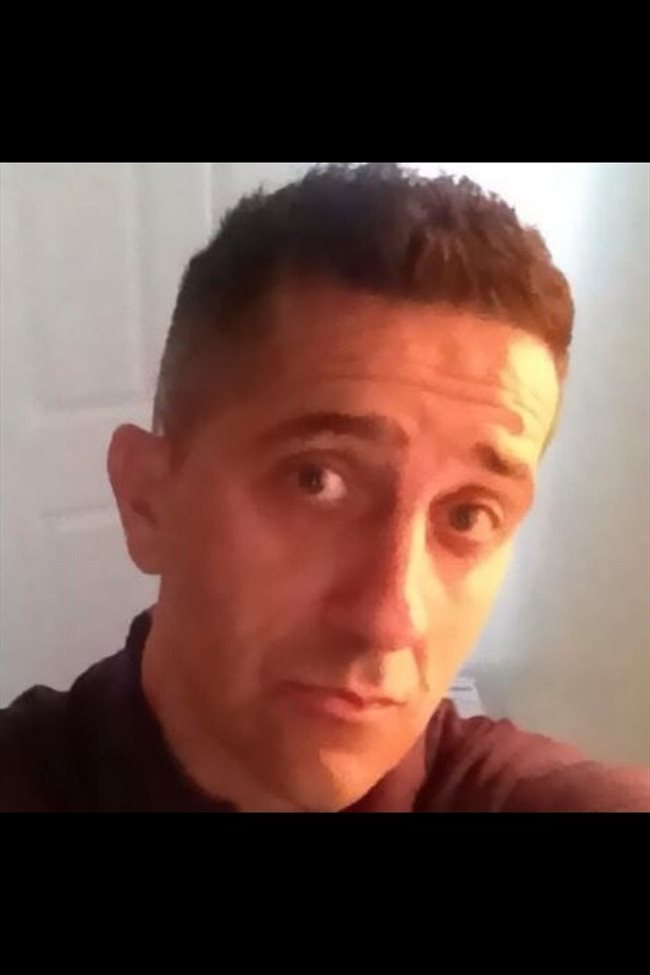 gay flat share in athlone escort