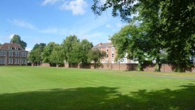 Flatshare - Wolverhampton - Double and single room room in shared house. Wolverhampton | EasyRoommate - Image 2