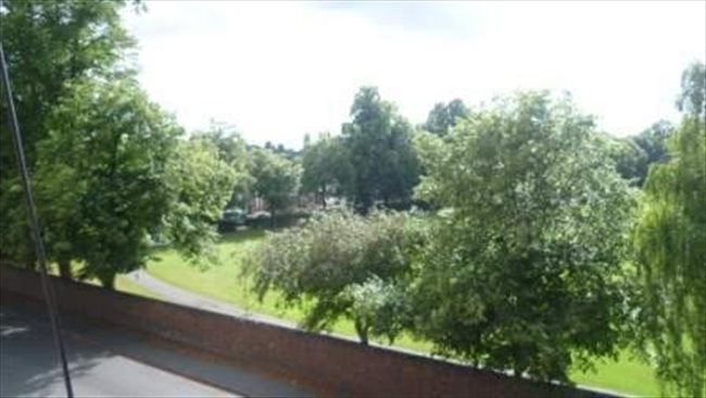 Flatshare - Wolverhampton - Double and single room room in shared house. Wolverhampton | EasyRoommate - Image 3