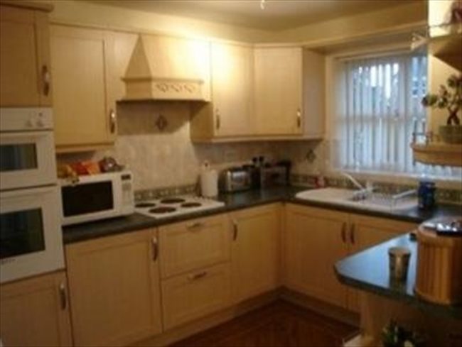 Flatshare - Horwich - Horwich, Bolton house to share | EasyRoommate - Image 2