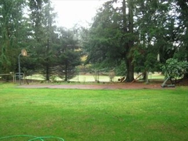 Roomshare - Custer - No title | EasyRoommate - Image 4