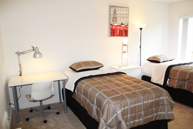 the irvine furnished apartments room for rent in irvine furnished apartments for the irvine furnished apartments room for rent in irvine furnished apartments for