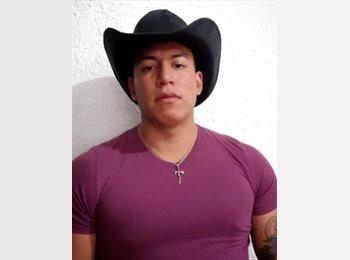 CompartoDepa MX - Salvador - 27 - Hermosillo