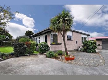 gay singles in new zealand