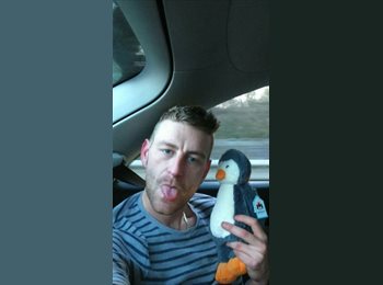 EasyRoommate UK - Robb - 31 - Exeter