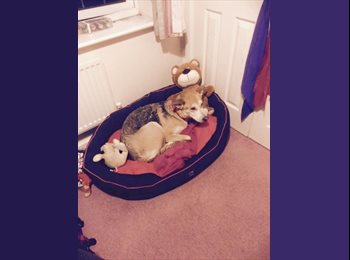 EasyRoommate UK - Rachael - 22 - Liverpool