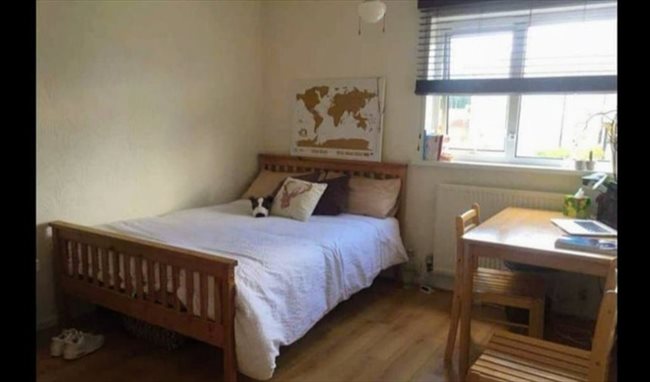 Photo of Spacious Double Rooms Available in Birmingham