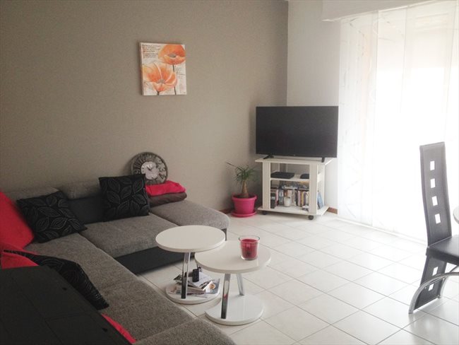 Femme cherche logement contre services belgique