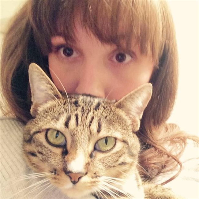 find a roommate in los angeles